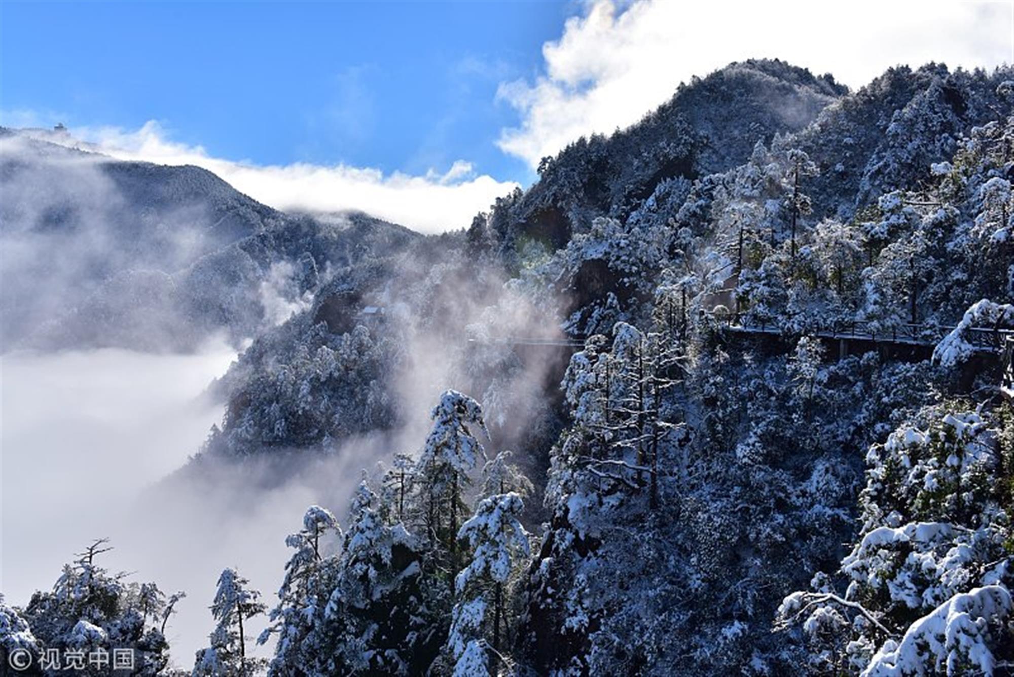 冬季在南方更能肆意玩雪撒欢