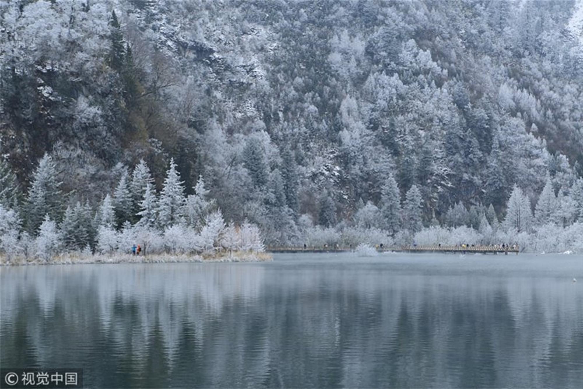 冬季在南方更能肆意玩雪撒欢