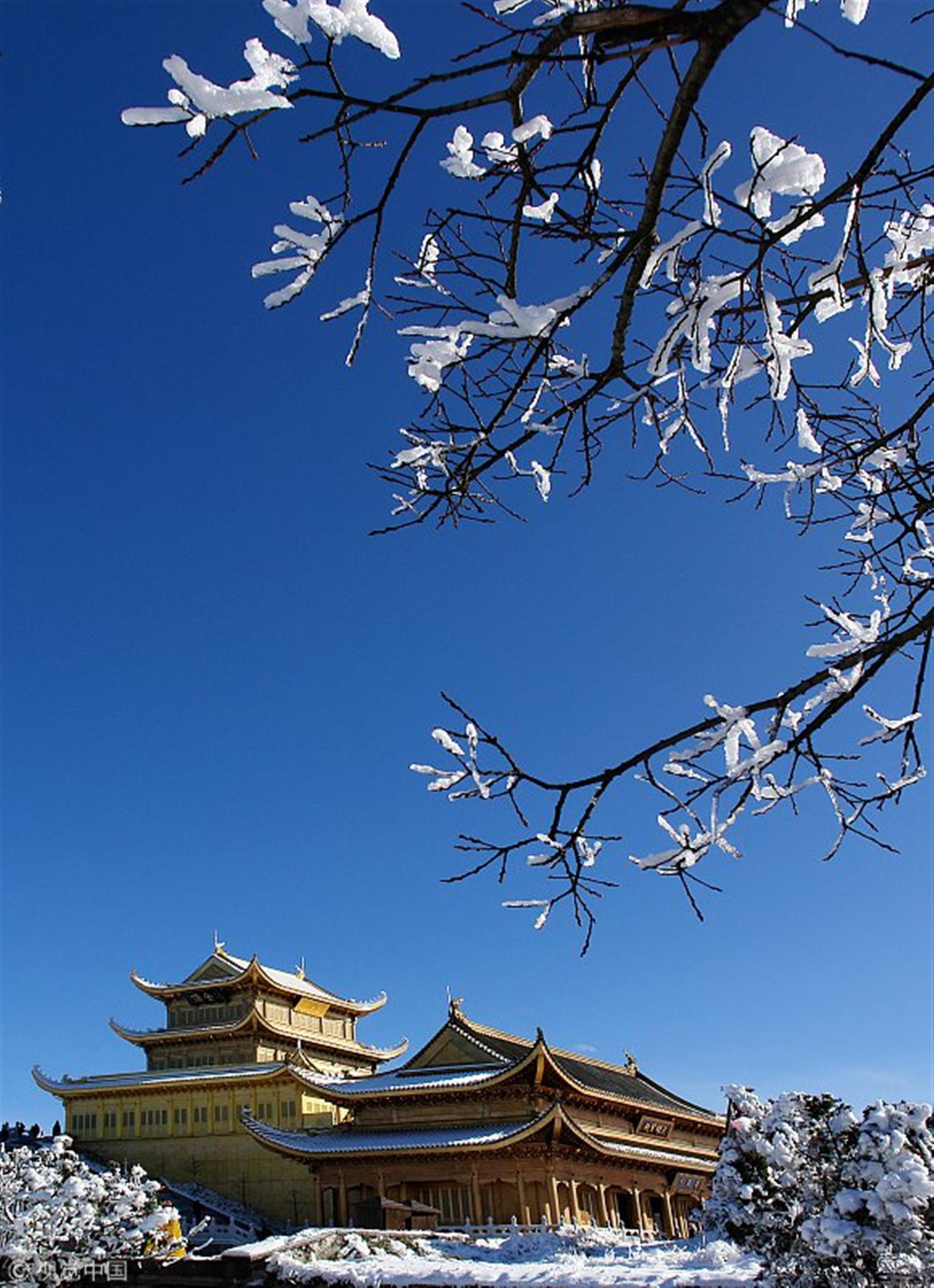 冬季在南方更能肆意玩雪撒欢